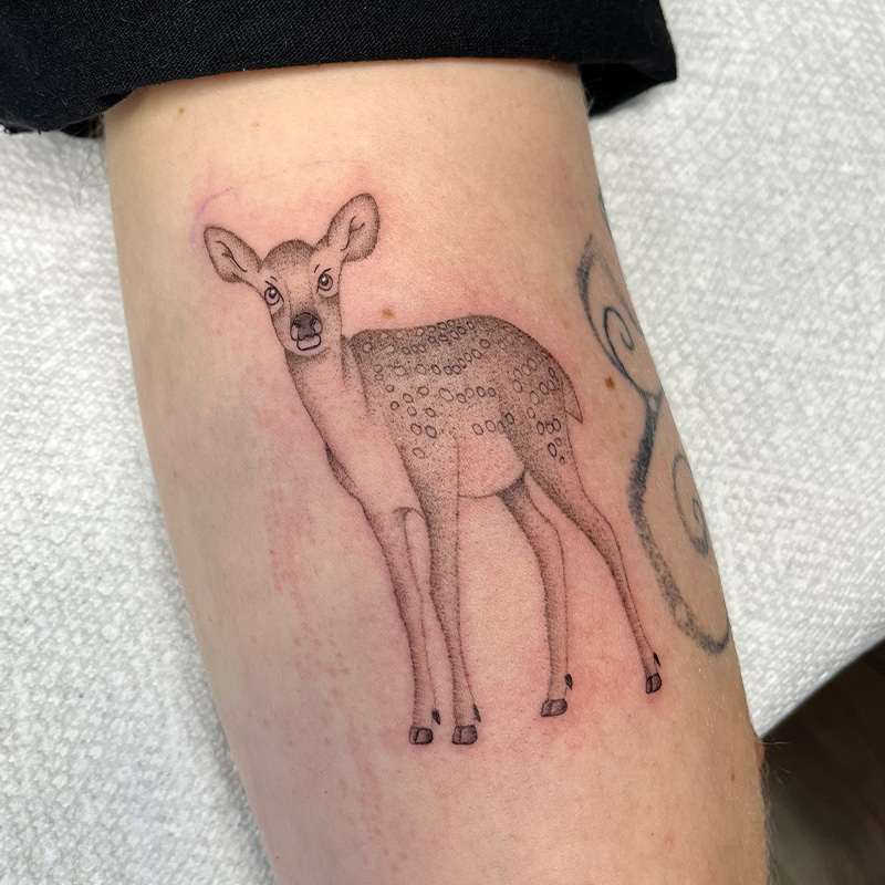 Tattoo by lar.uh — botanical illustration